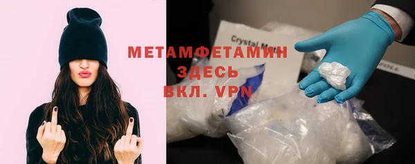 метадон Богданович